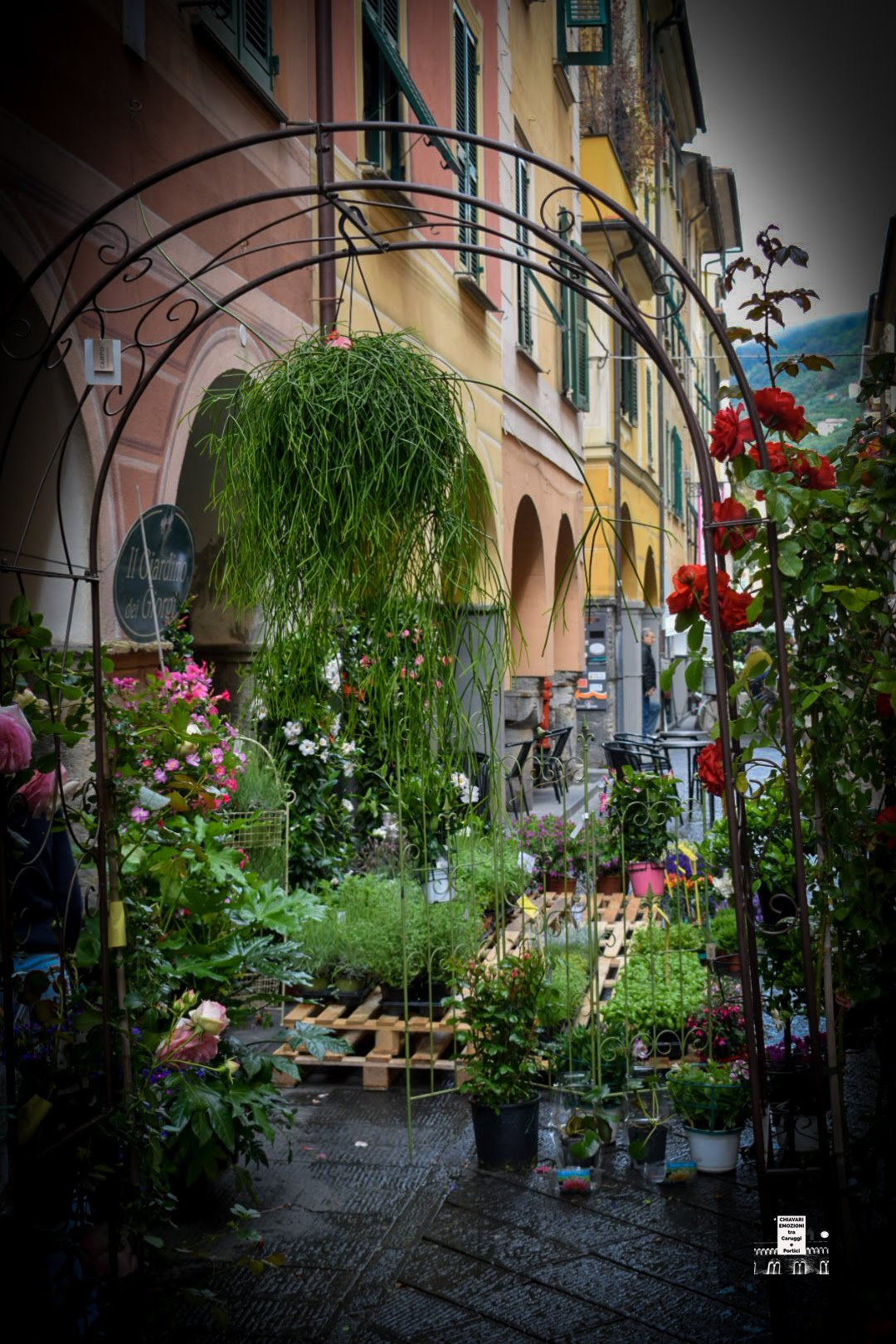 DETTAGLI DI CARUGGI E FIORI