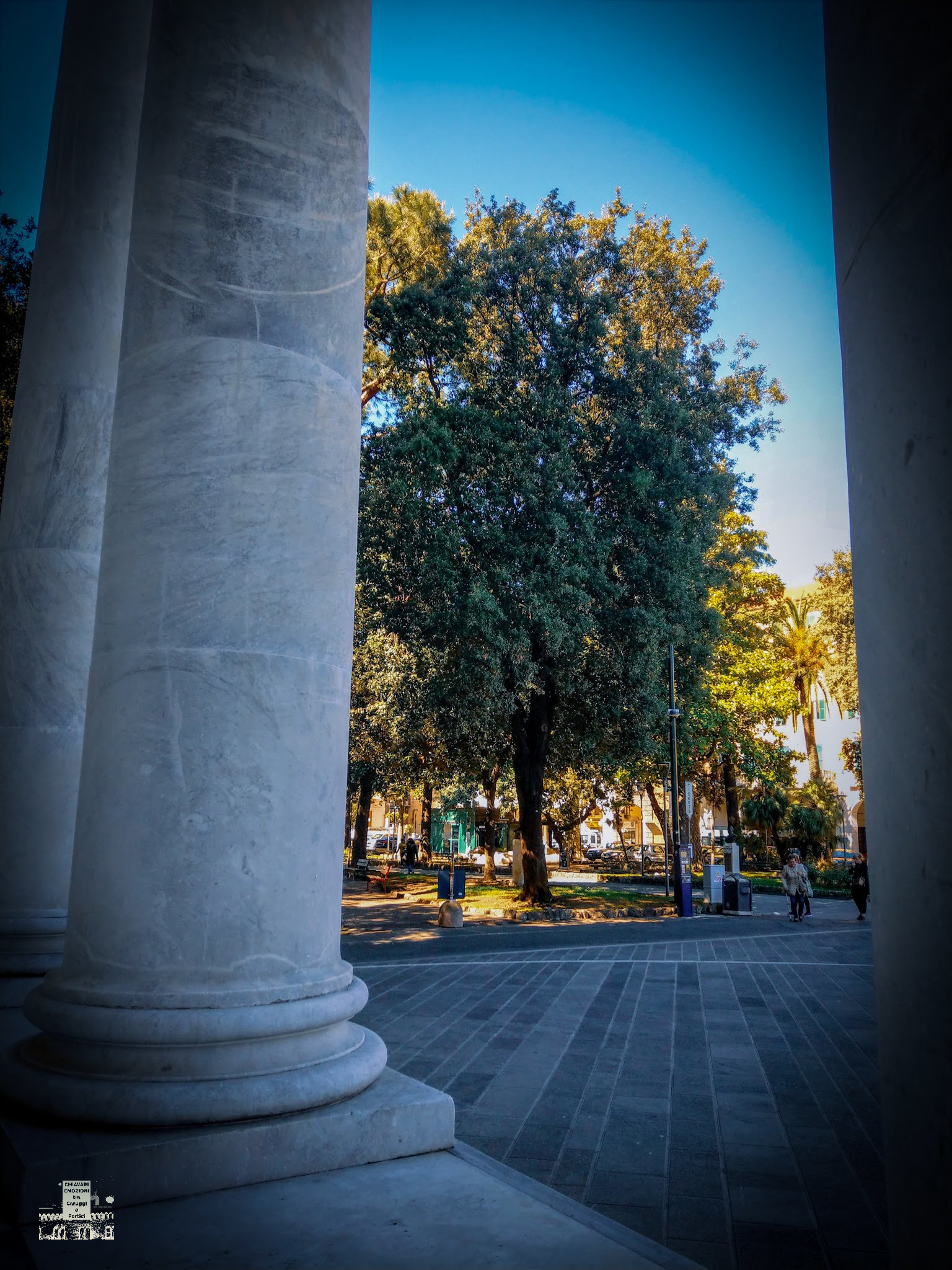 0605-2019-023092148076542176034