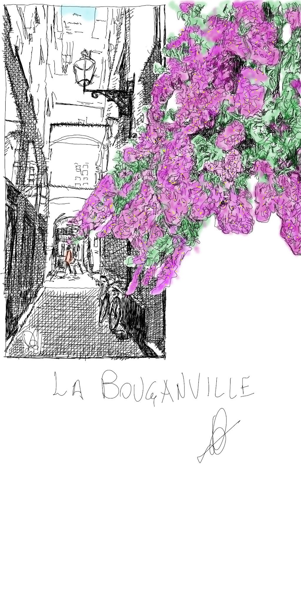 LA BOUGANVILLE