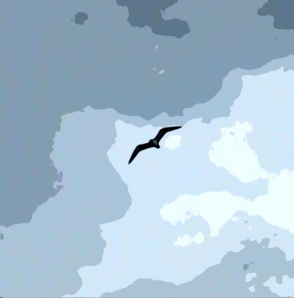 GABBIANO IN PLANATA SUL MARE DEL GOLFO DEL TIGULLIO