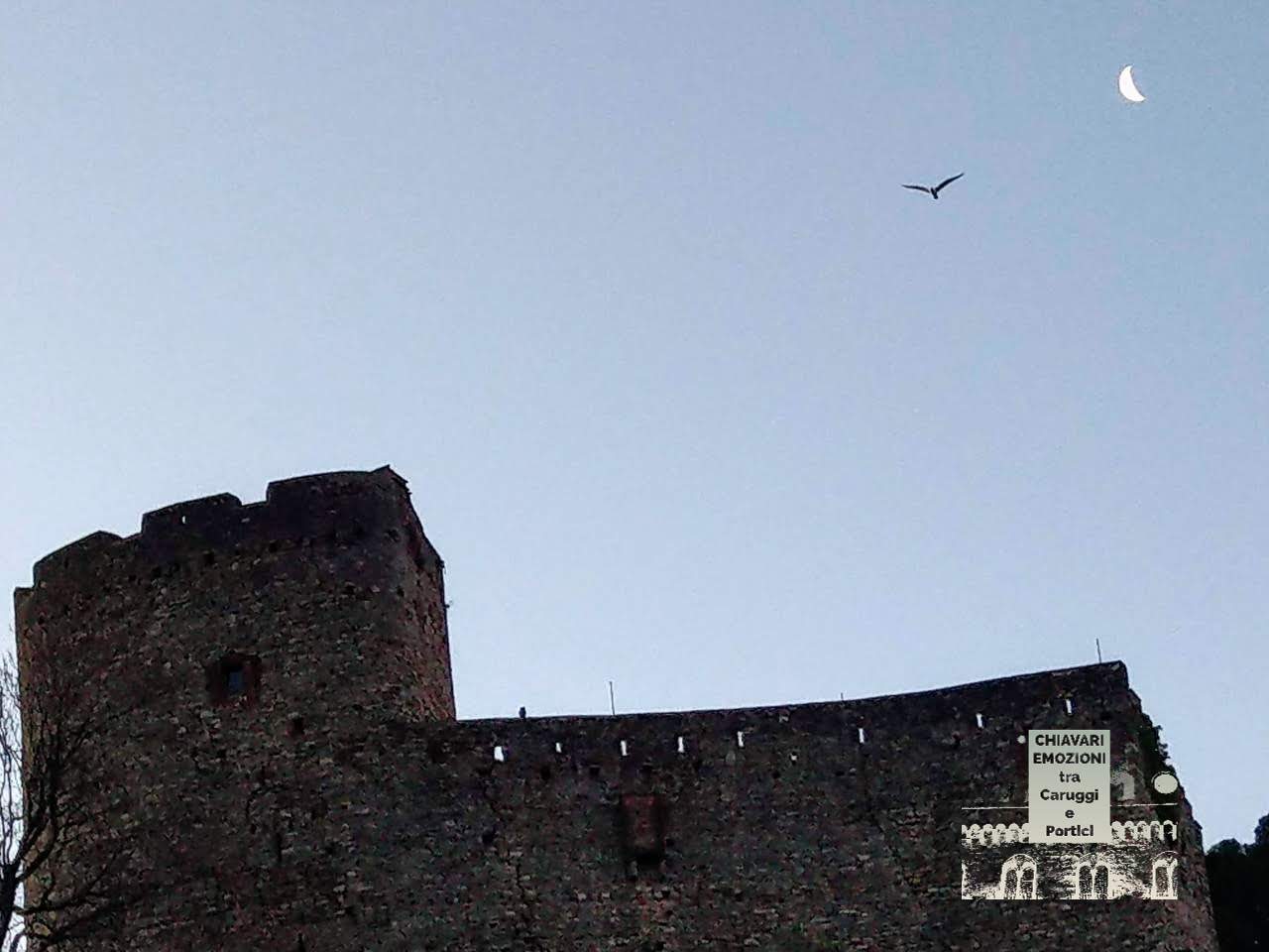 GABBIANO VOLA TRA LA LUNA E IL CASTELLO