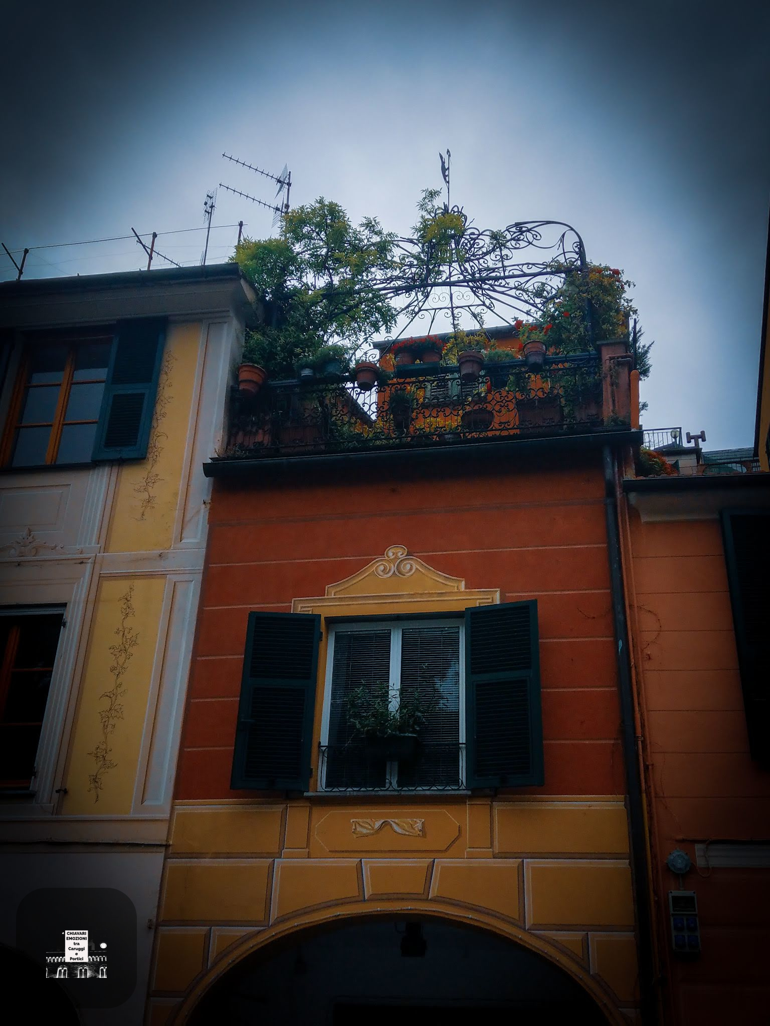 PARTICOLARE VISTO DA SOTTO