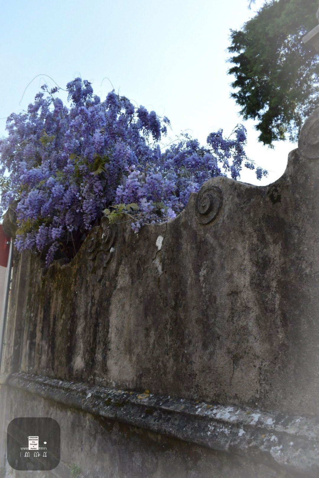 LATO OVEST DELIMITATO DA MURO SU VIA SANT'ANTONIO MARIA GIANELLI LATO OVEST DELIMITATO DA MURO SU VIA SANT'ANTONIO MARIA GIANELLI