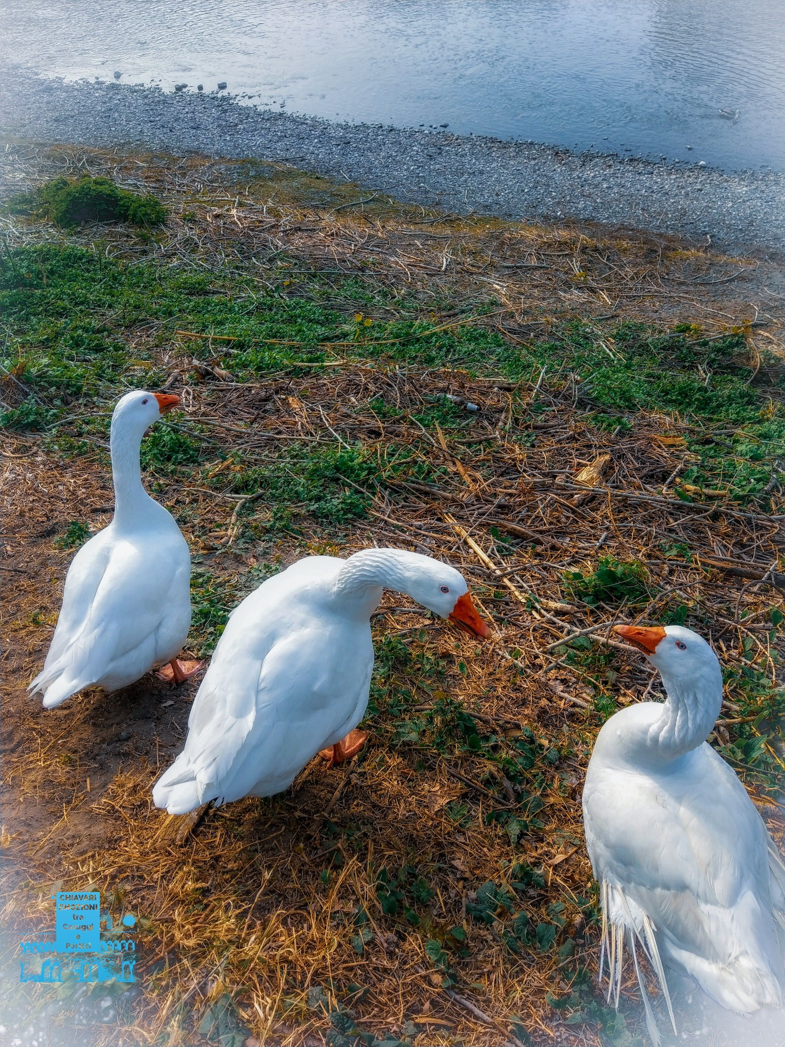 Adelaide Guendalina e sua Cugina