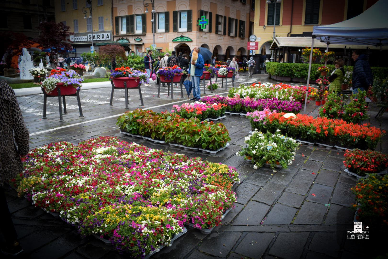 Piazza Garibaldi FIORITA