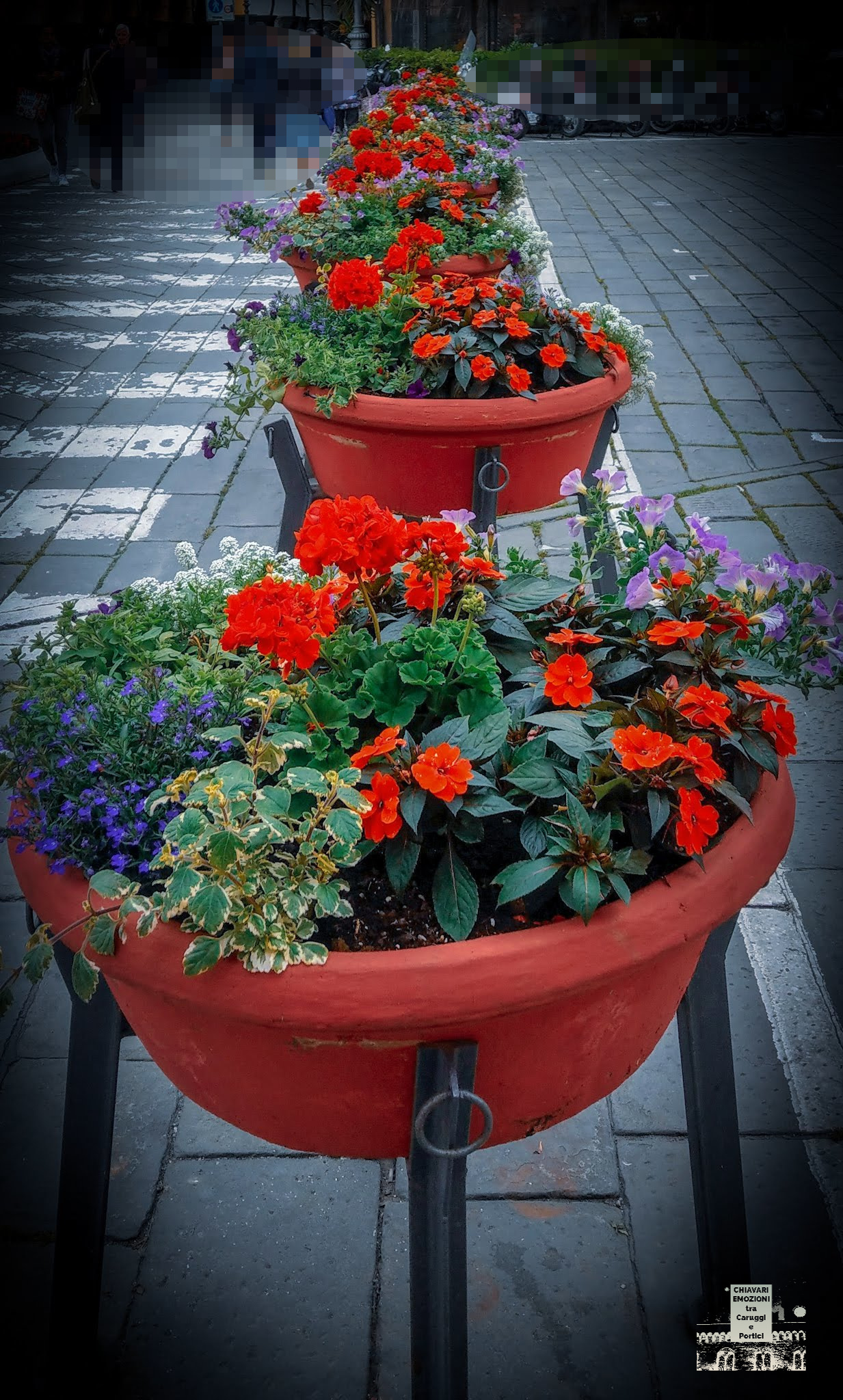 BUON PRIMO MAGGIO - FIORI Piazza CARROZZE
