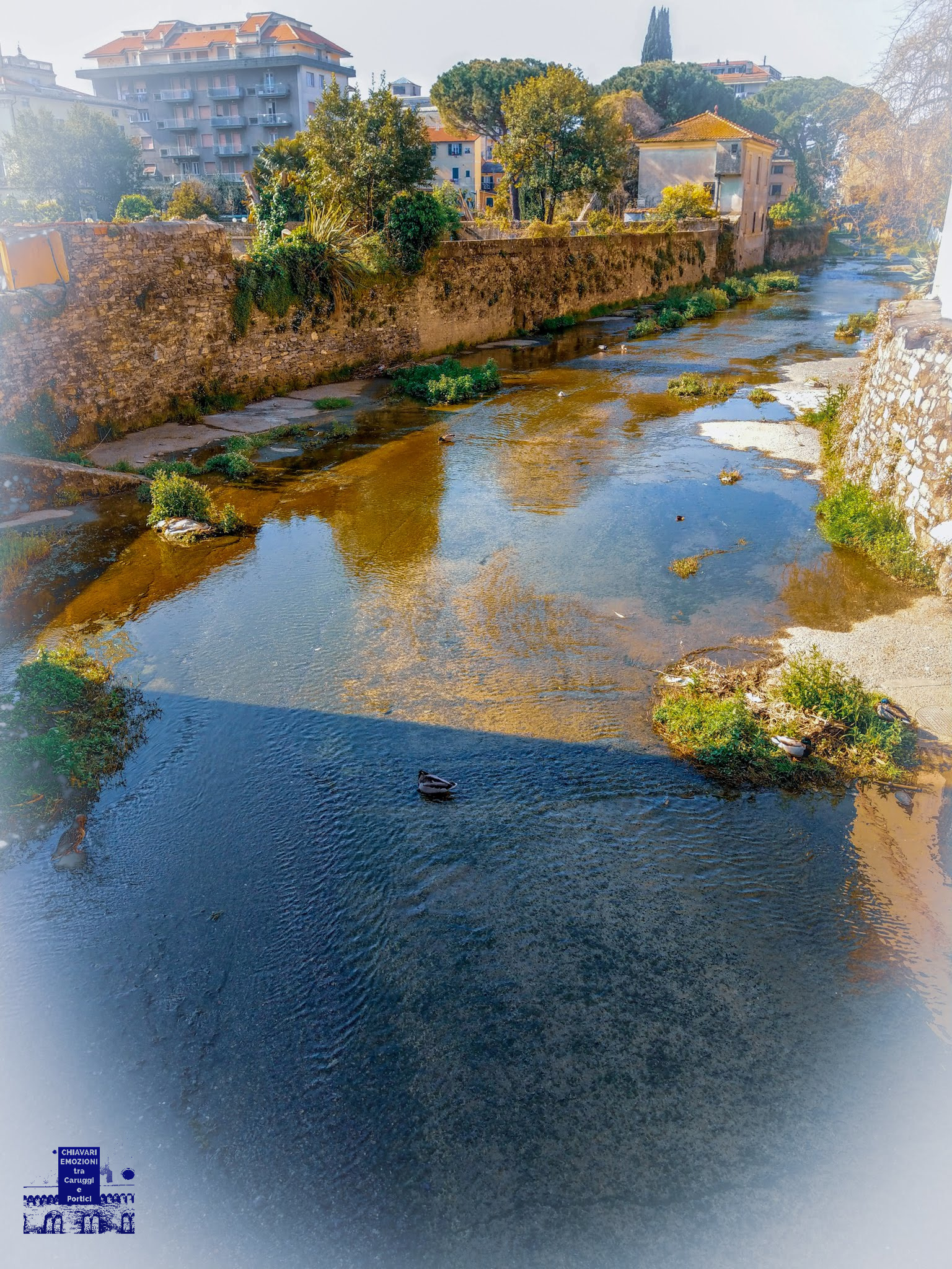 Rio Rupinaro - Non Fatelo Arrabbiare