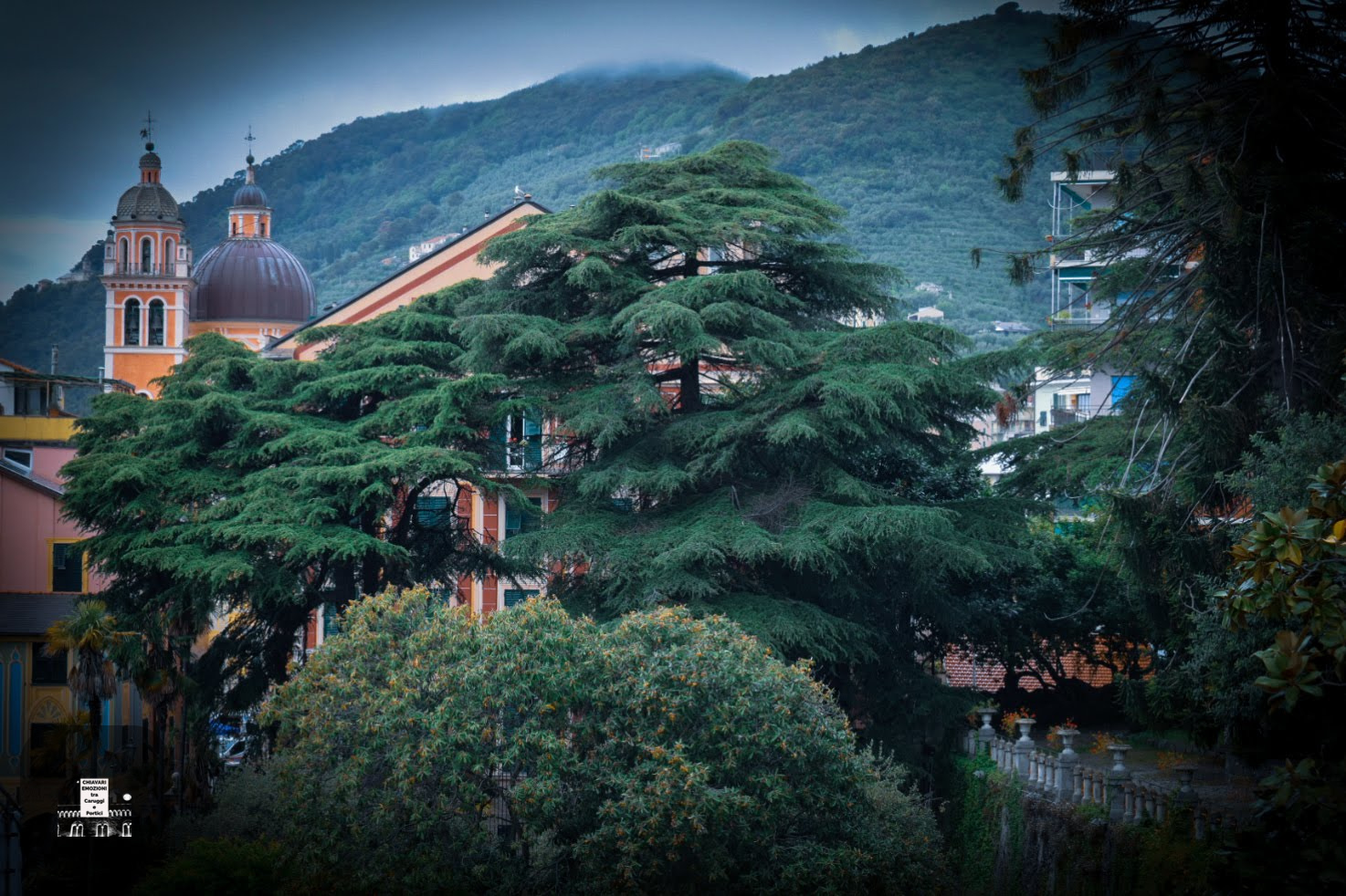 PARCO VILLA ROCCA VISTA ESTERNA DA EST PARCO VILLA ROCCA VISTA ESTERNA DA EST