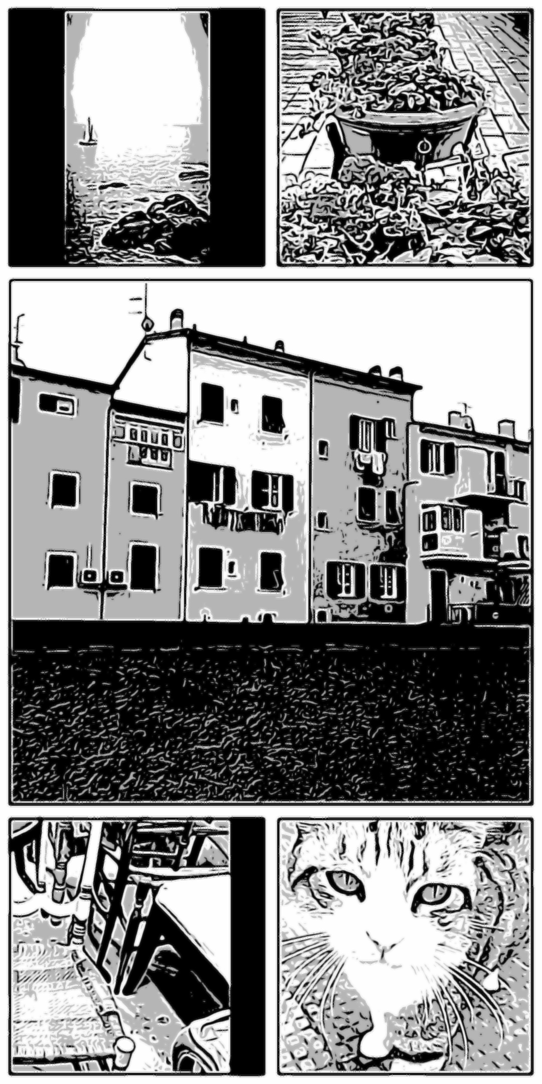 CASE DIETRO AL MURO - GATTO CHIAVARESE