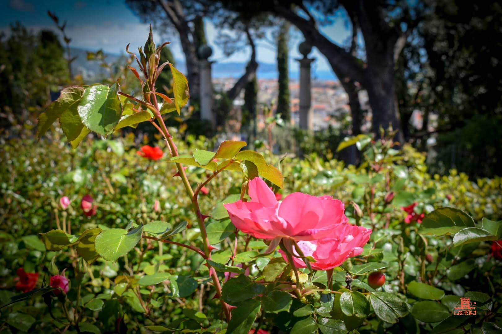 CHIAVARI SFOCATA NELLO SFONDO