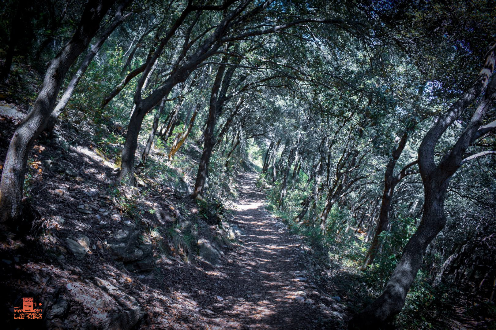 IL BEL SENTIERO TRA I LECCI