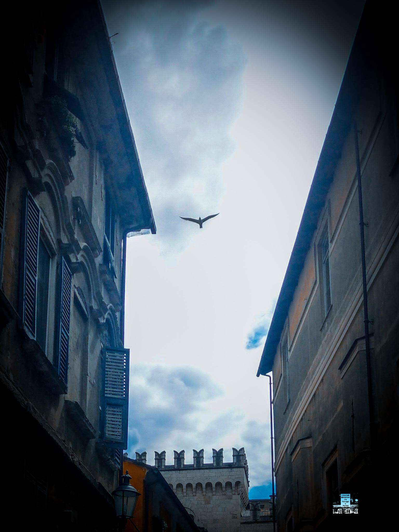 DETTAGLI DI VOLO