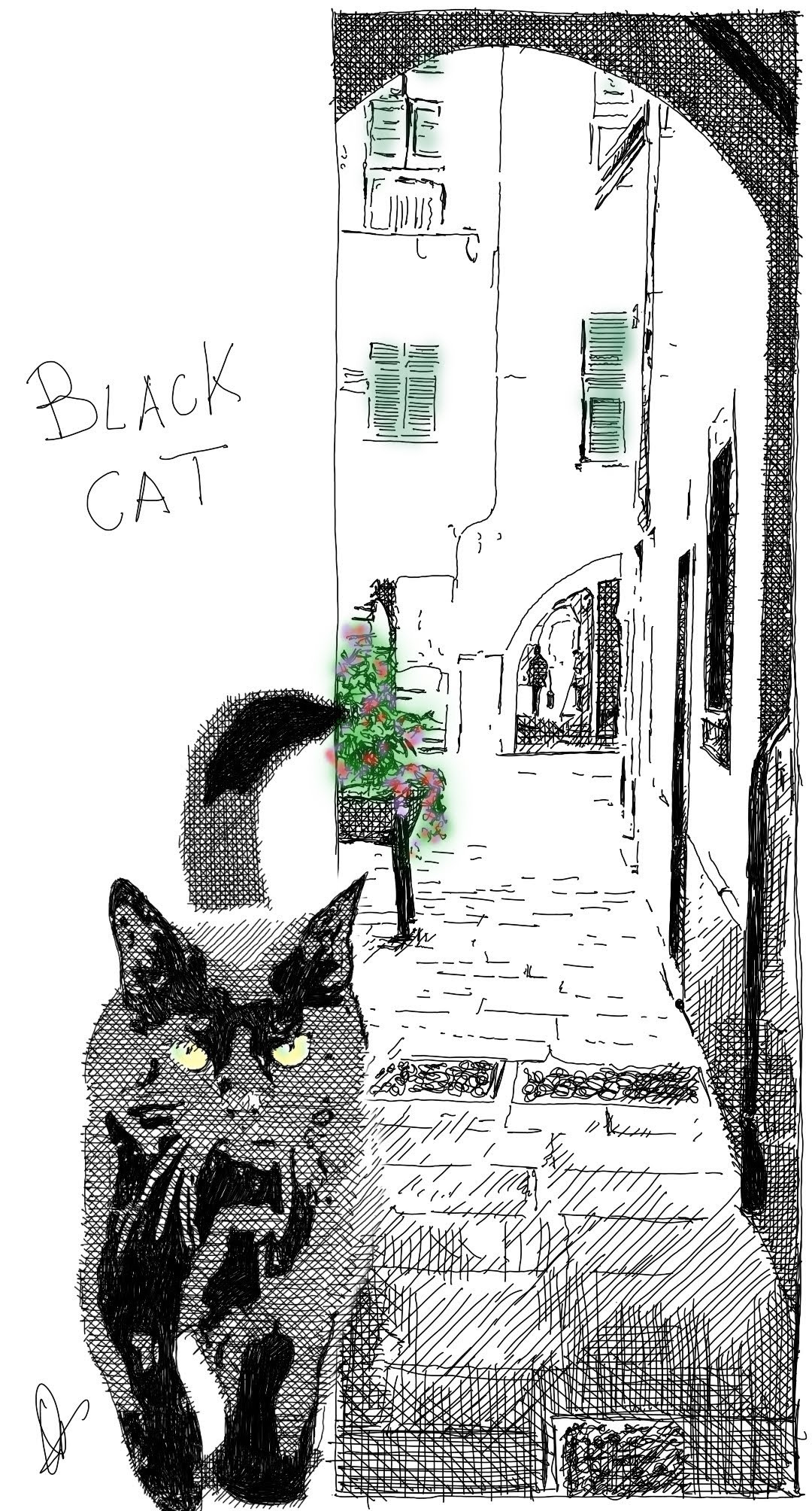BLACK CAT