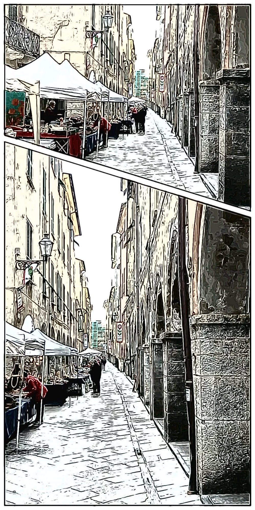 IL RISVEGLIO IL RISVEGLIO