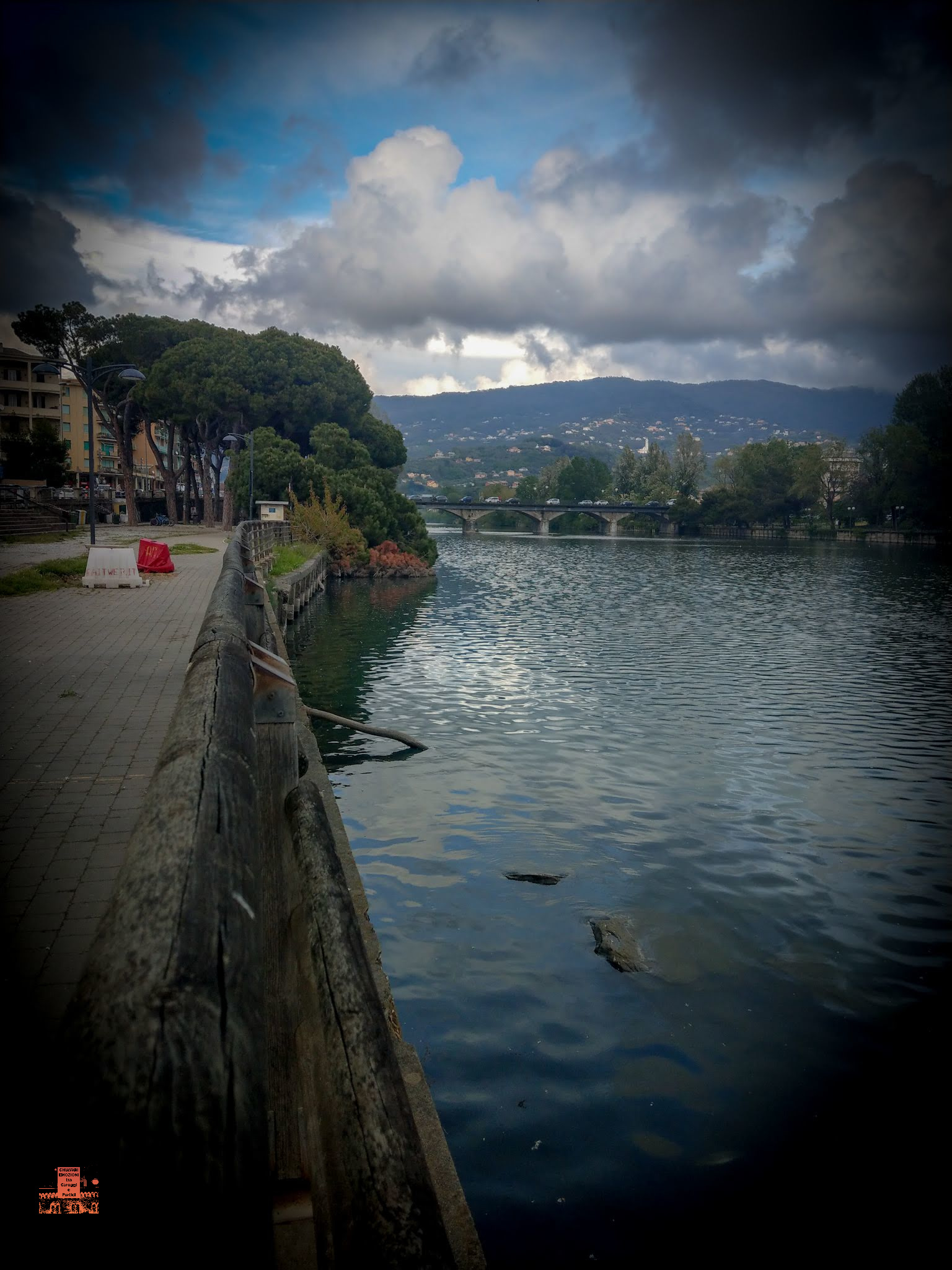 SI VEDE LA PICCOLA PINETA E NELLO SFONDO IL PONTE DELLA LIBERTA'