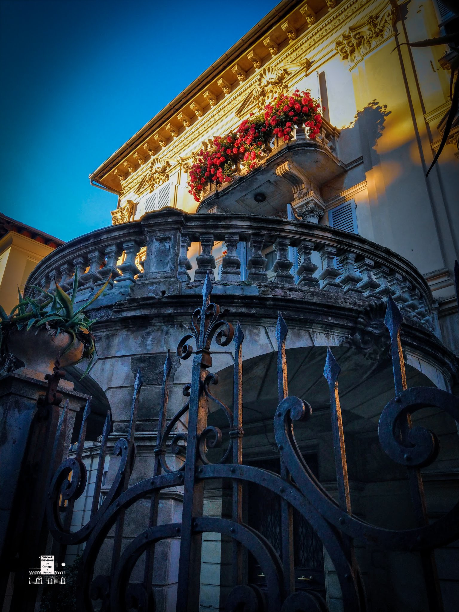 PARTICOLARE DAL BASSO