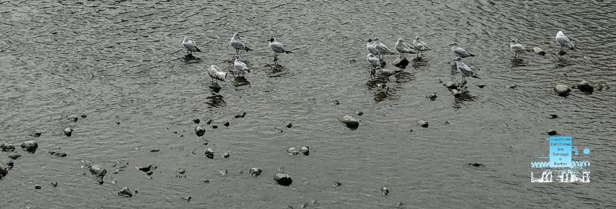 ASPETTANDO IL PEDIBUS - CHIAVARI - Fiume ENTELLA