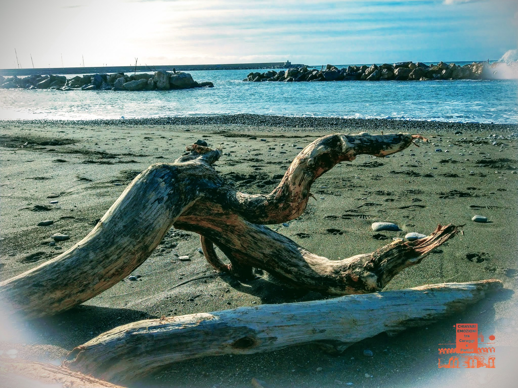 LUNGOMARE CHIAVARI TRONCO SDRAIATO SULLA BATTIGIA