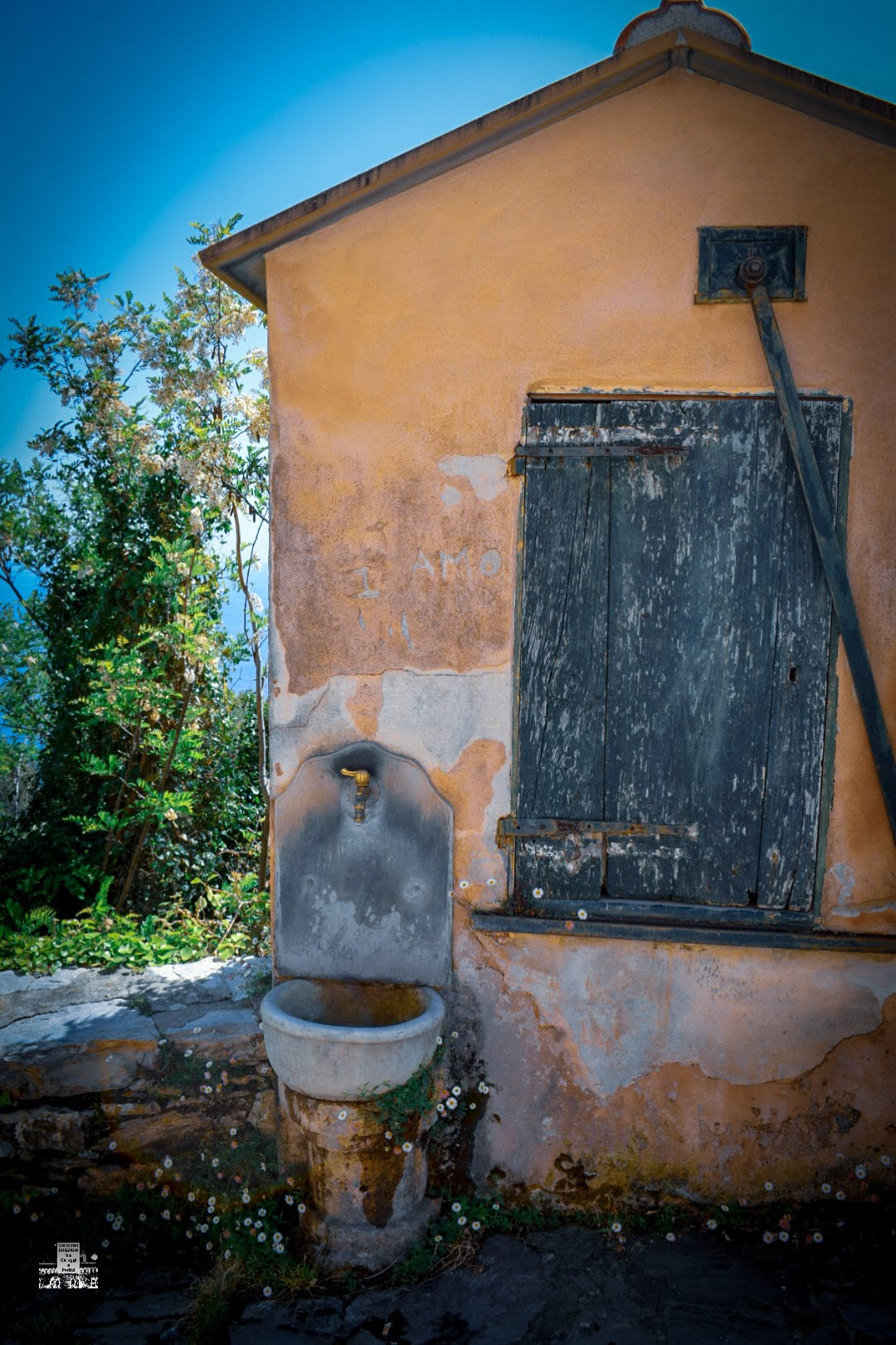 0305-2019-1153880287423346067801