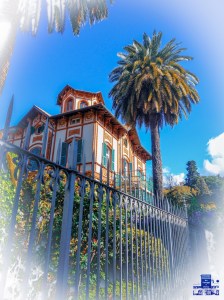 Tra le palme si scorge una villetta stile LIBERTY