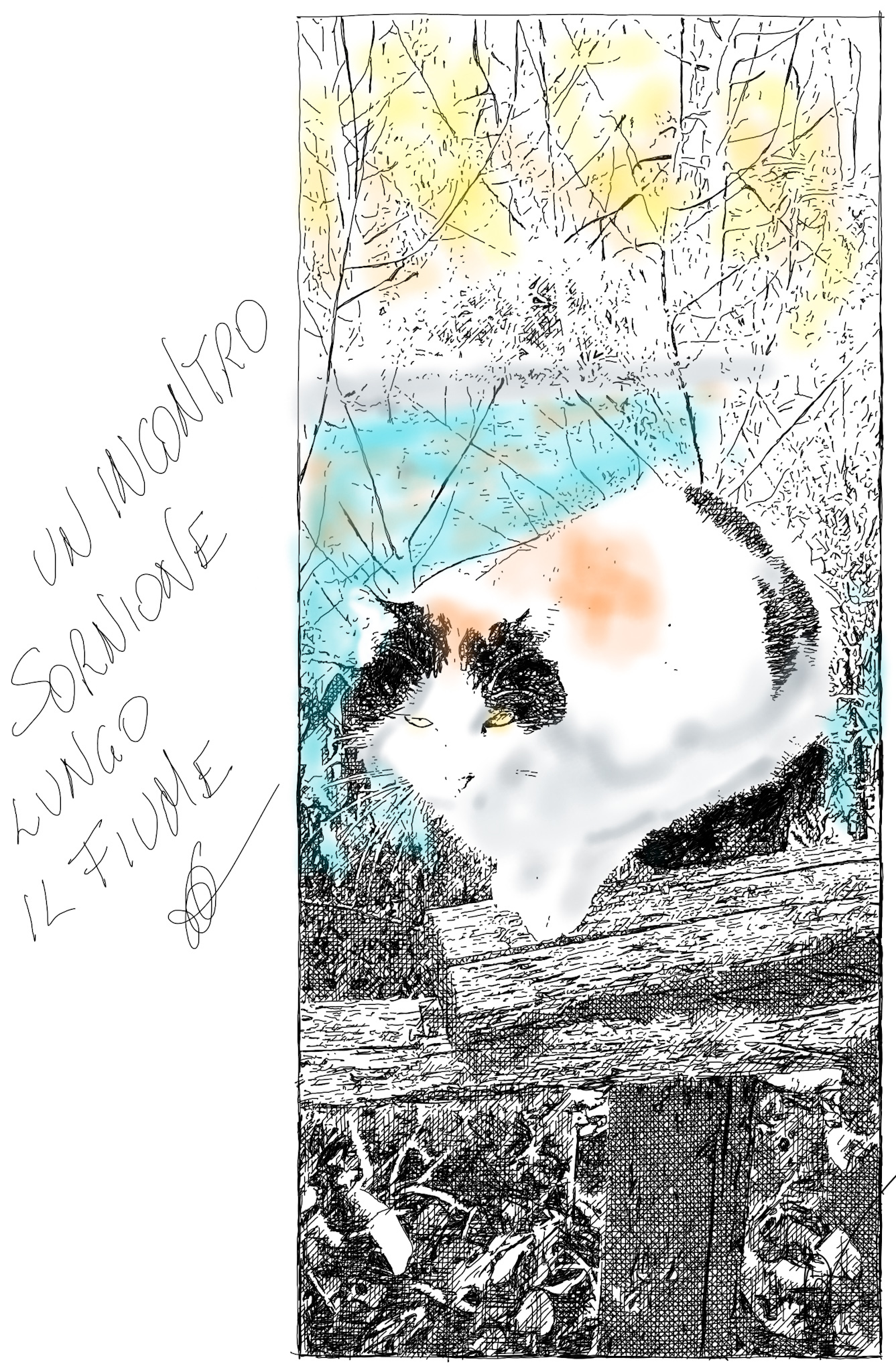 UN INCONTRO SORNIONE LUNGO IL FIUME