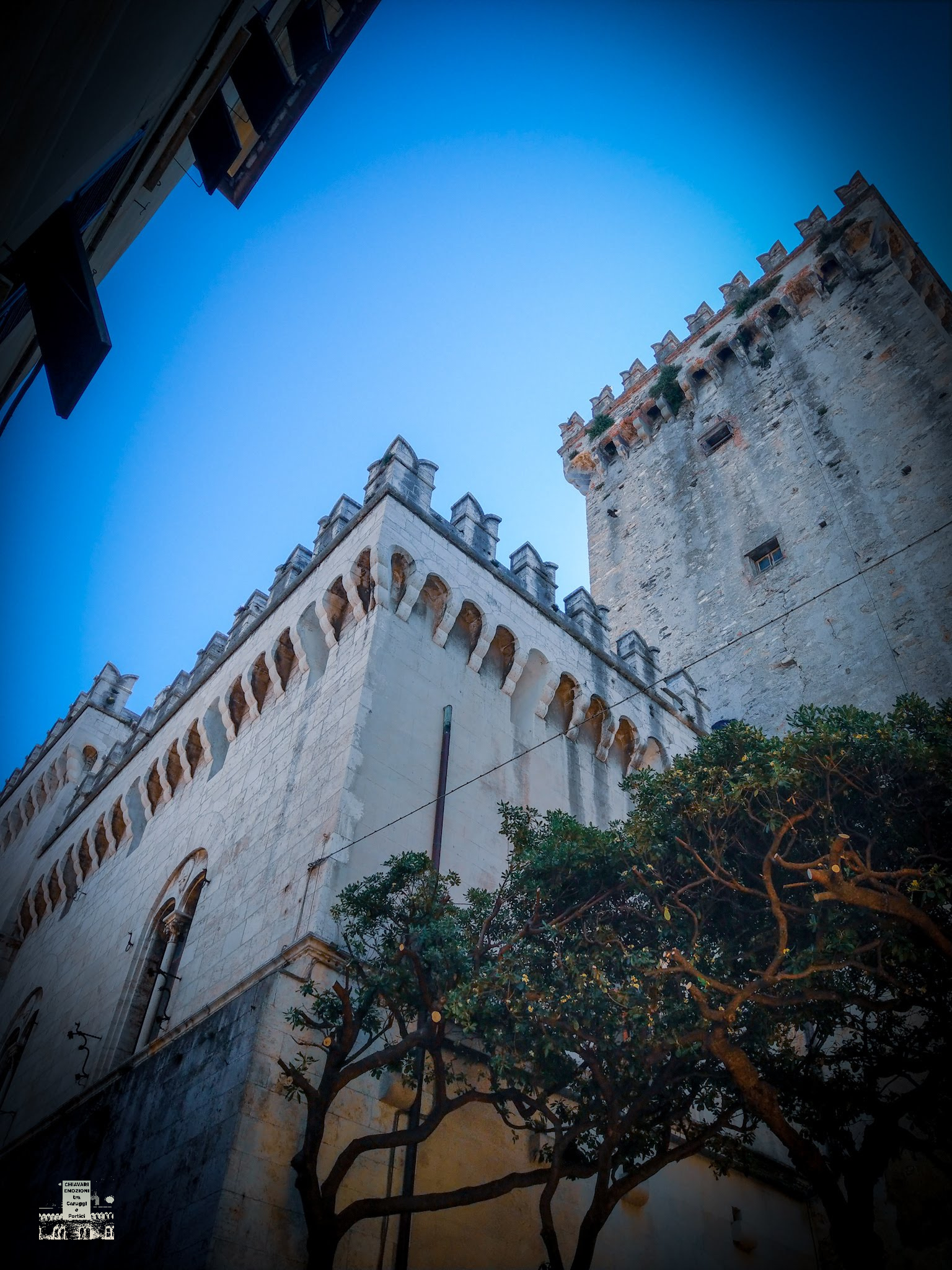 ALTRA IMMAGINE DAL BASSO